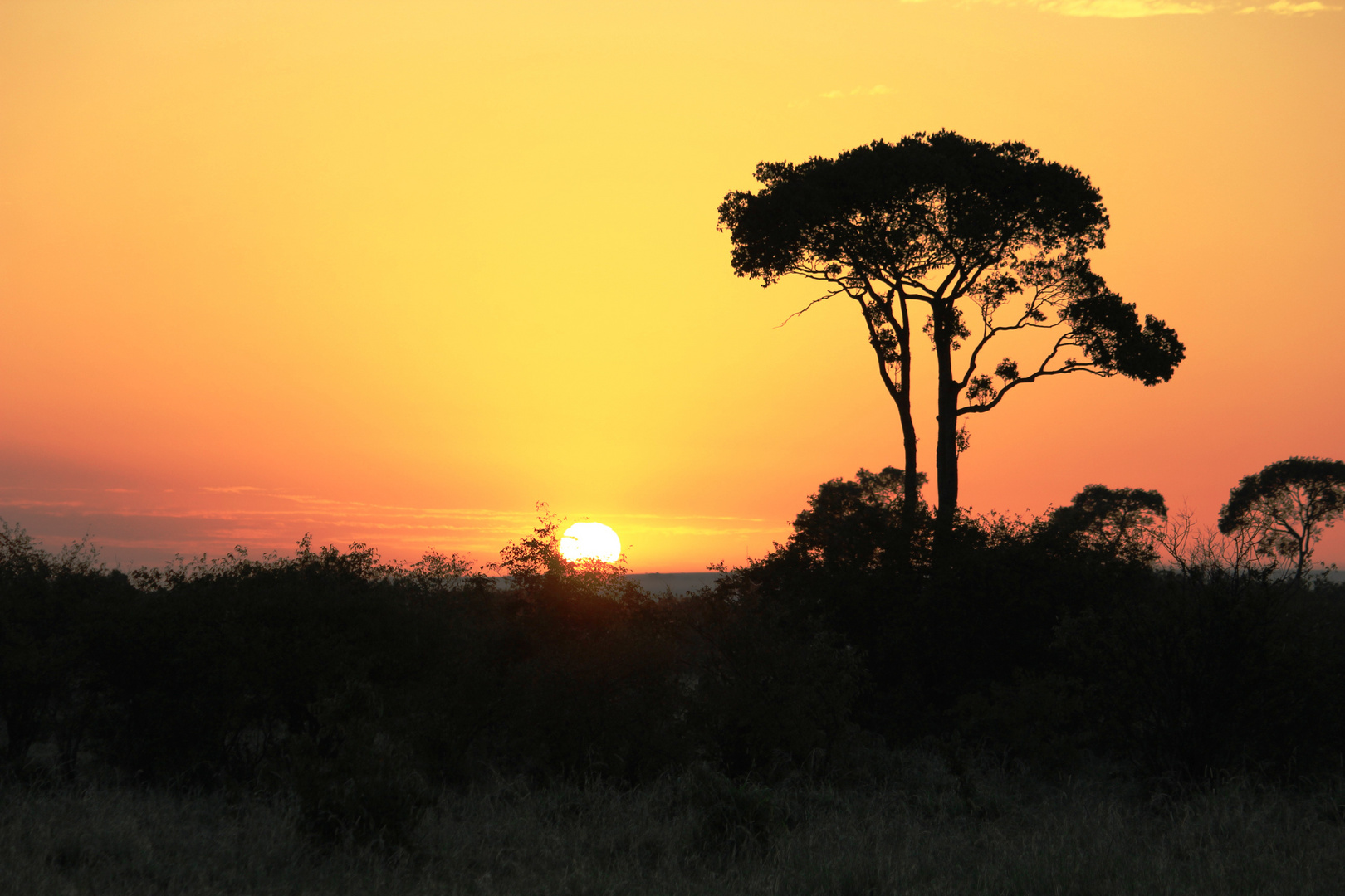 Masai Mara 7