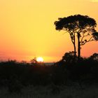 Masai Mara 7