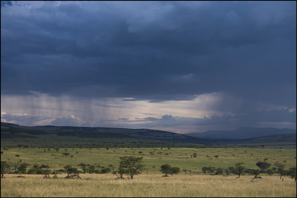 Masai Mara