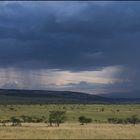 Masai Mara