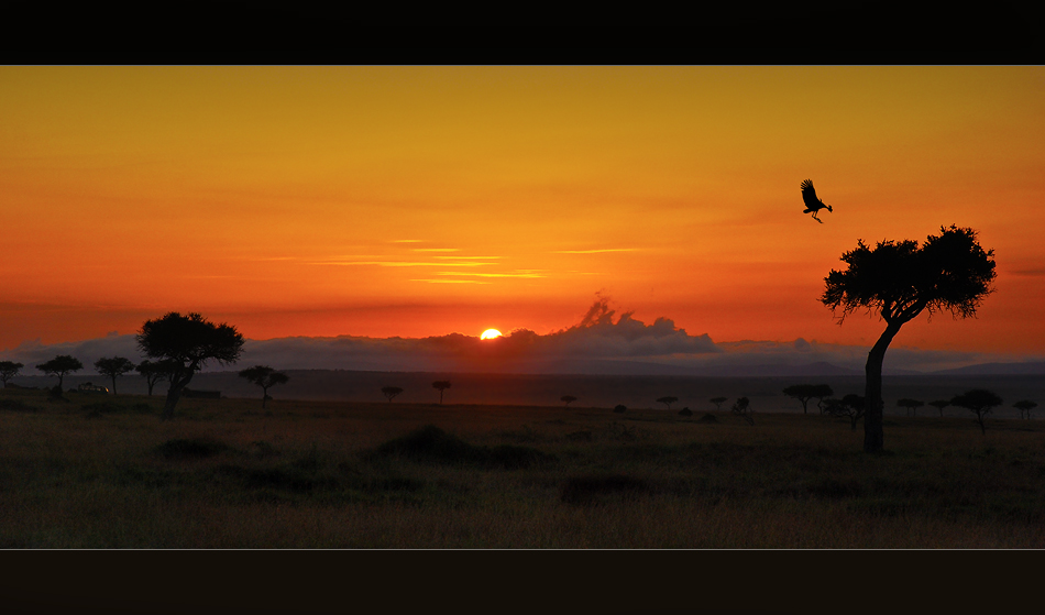 Masai Mara von Stefan F. Leitner