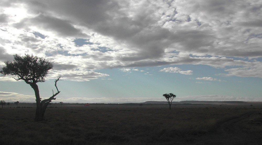 Masai Mara