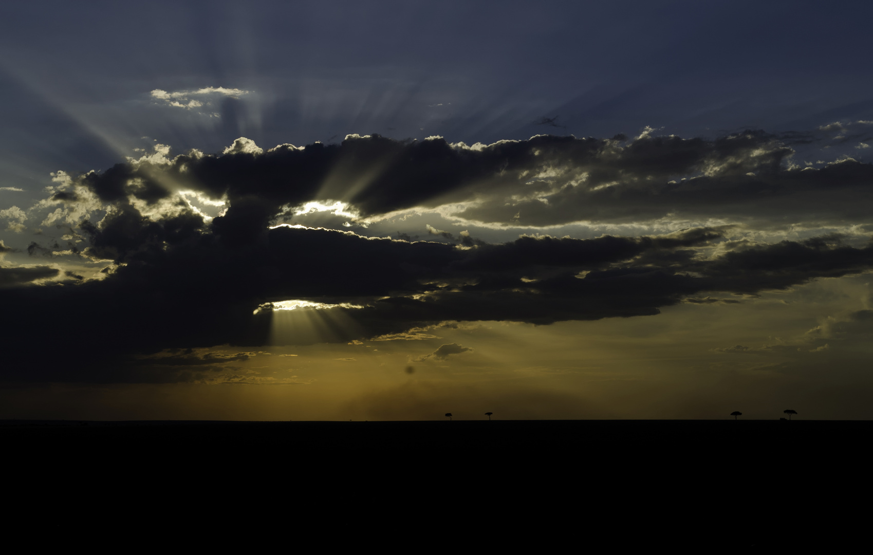 Masai Mara Abendstimmung