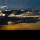 Masai Mara Abendstimmung