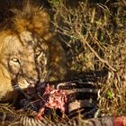 Masai Mara Breakfast