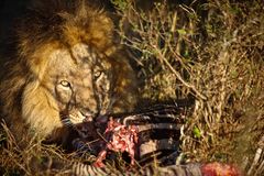 Masai Mara Breakfast