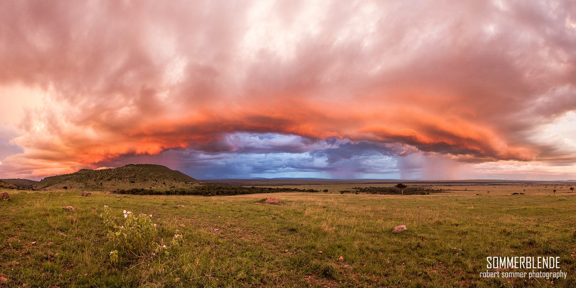 Masai Mara