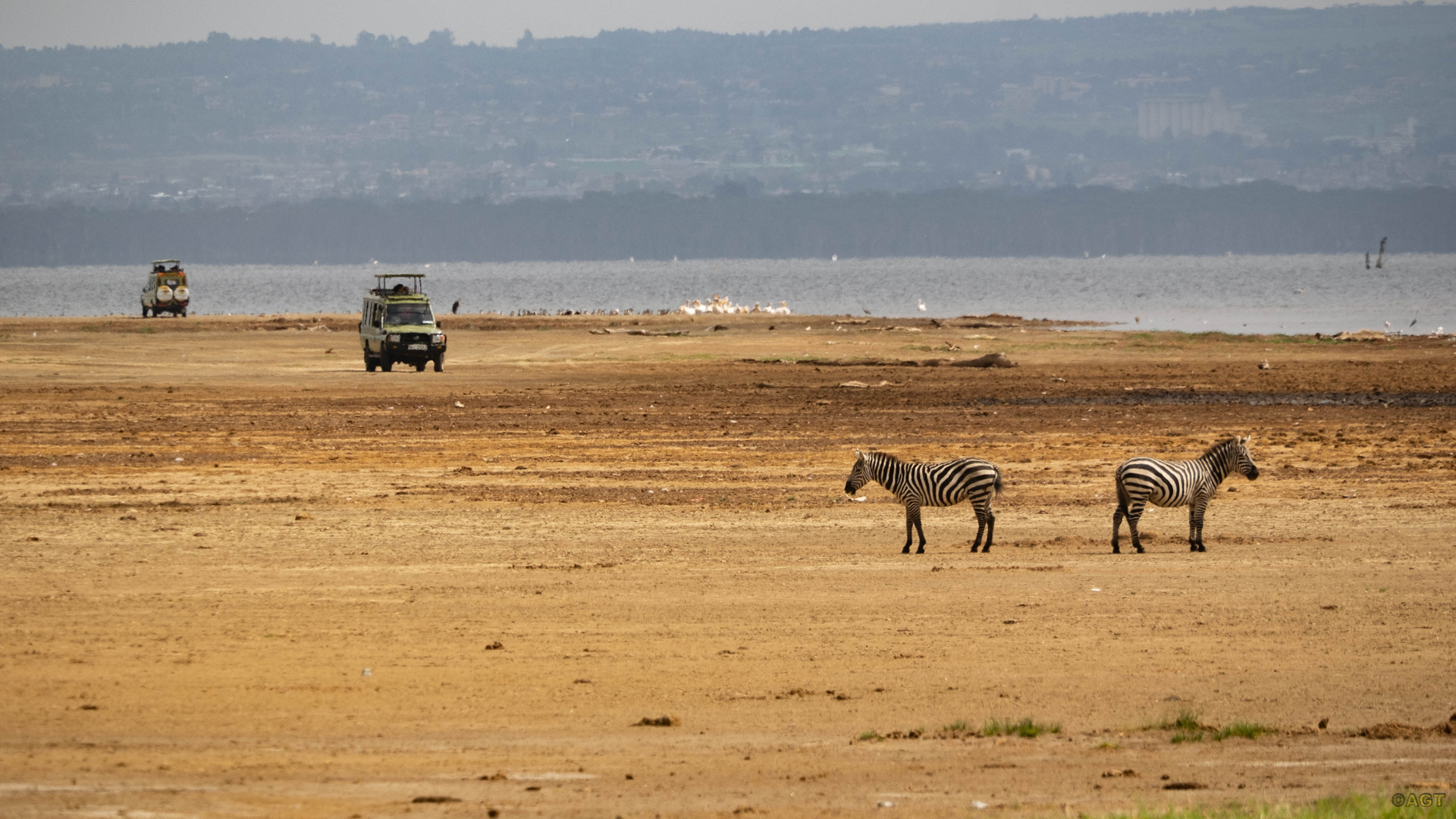 Masai Mara Kenia