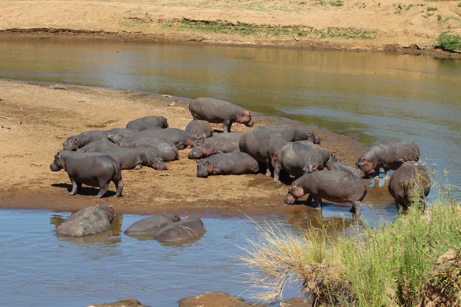 Masai Mara Kenya 2017/3