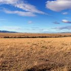 Masai Mara ~ Landscape