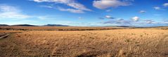 Masai Mara ~ Landscape