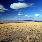 Masai Mara ~ Landscape #4