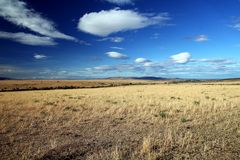 Masai Mara ~ Landscape #4