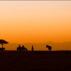 Masai Mara Morning