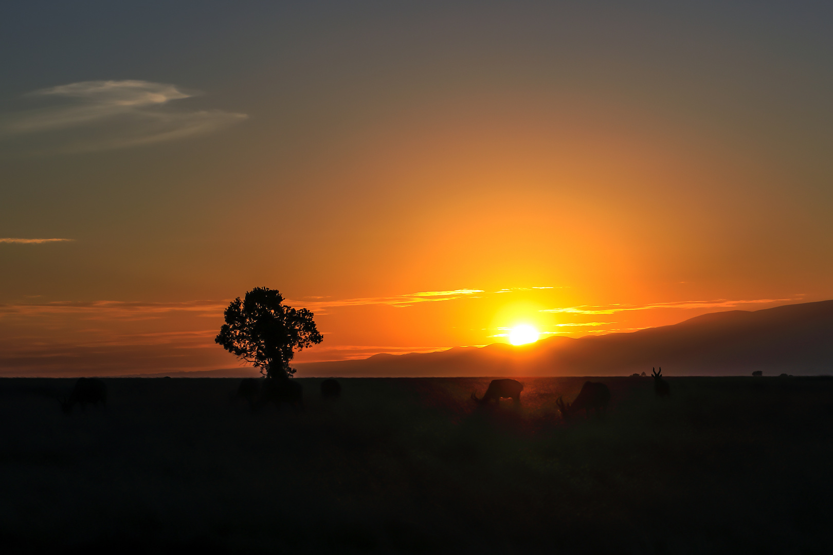 Masai Mara September 2020 