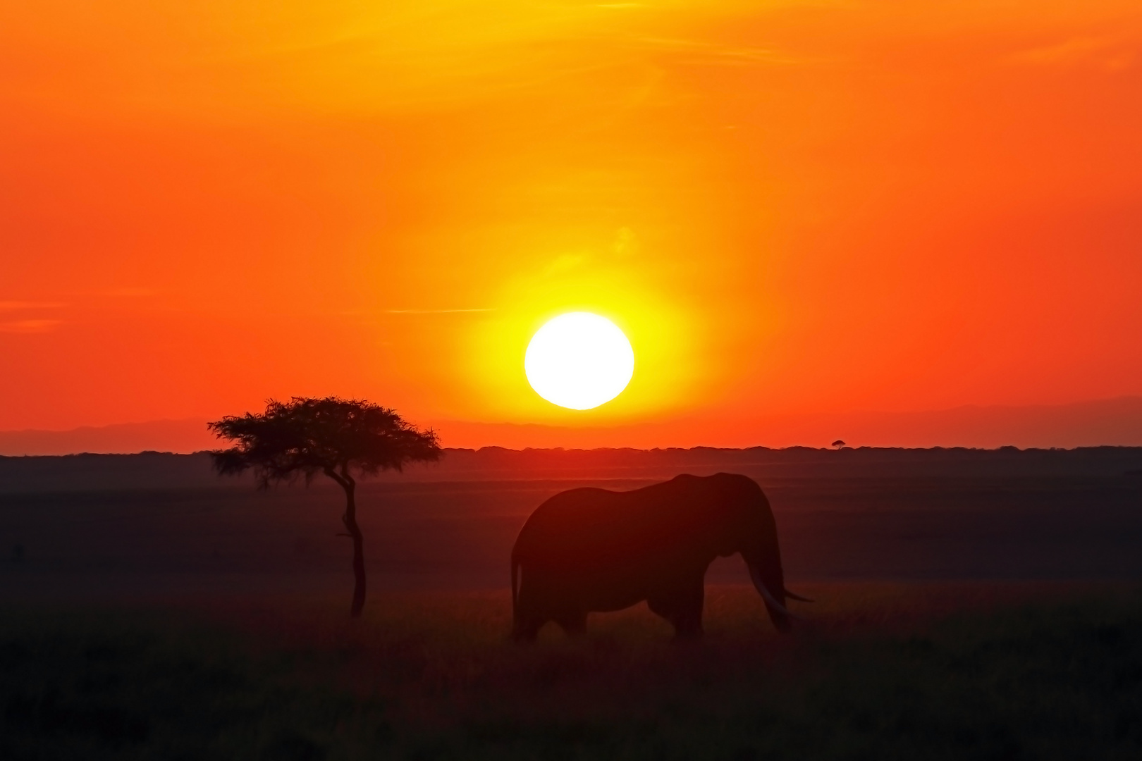 Masai Mara September 2020 