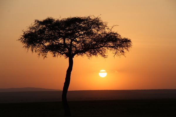 Masai Mara - September 2023 - Sonnenaufgang