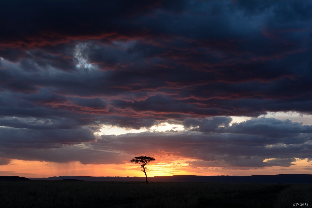 Masai Mara Sunset