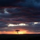 Masai Mara Sunset