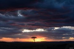 Masai Mara Sunset