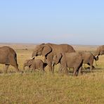 Masai Mara X