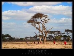 Masai nella savana