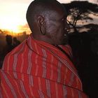 Masai - stolzer Krieger und Stammeshäuptling