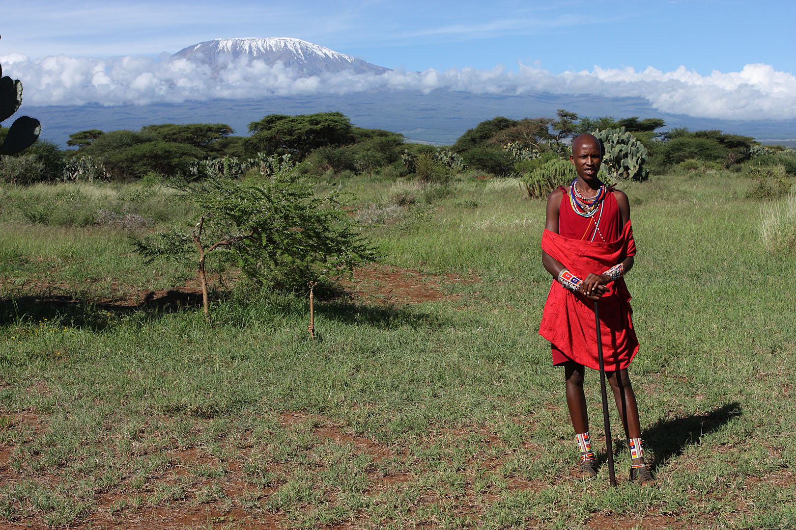 Masai vor Kilimandscharo