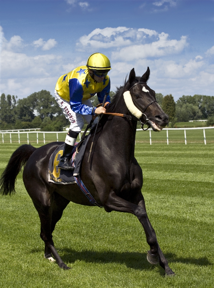 Masako beim Aufgalopp