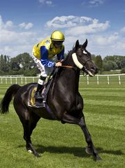 Masako beim Aufgalopp