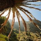 Masca-Schlucht auf Teneriffa