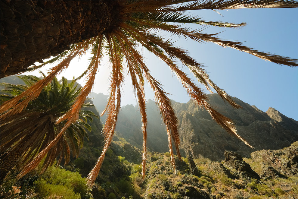 Masca-Schlucht auf Teneriffa von Beate Zi. 