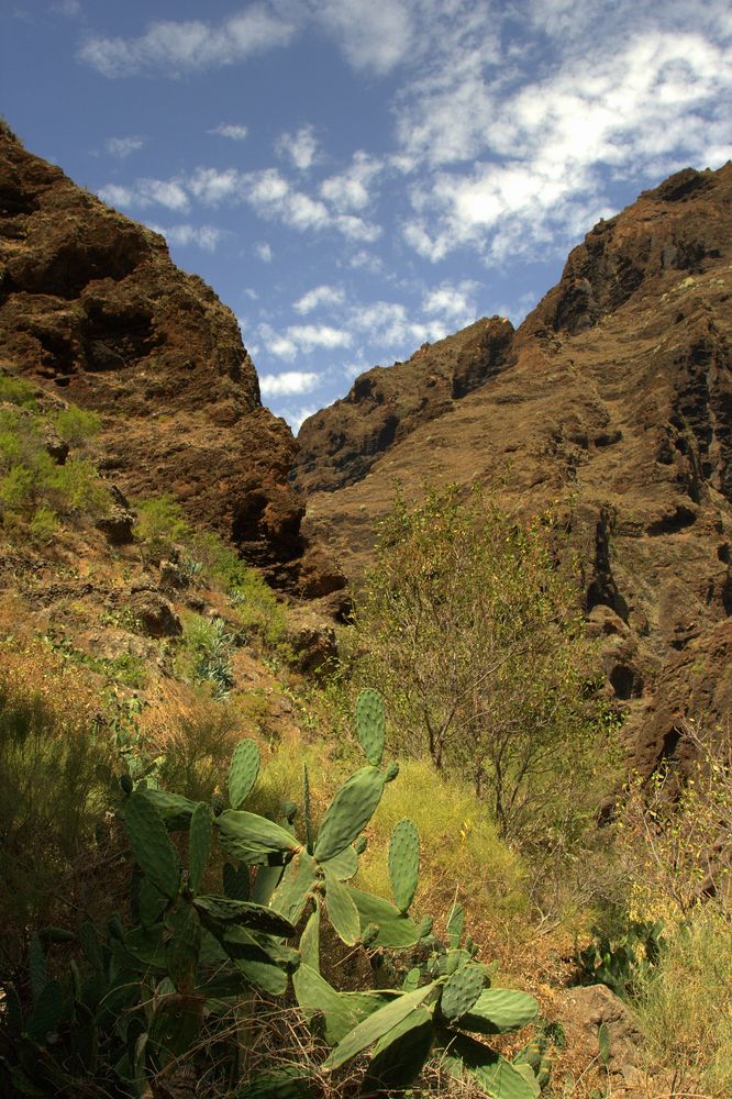 Masca-Schlucht