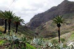 Masca , Teneriffa_Süd1