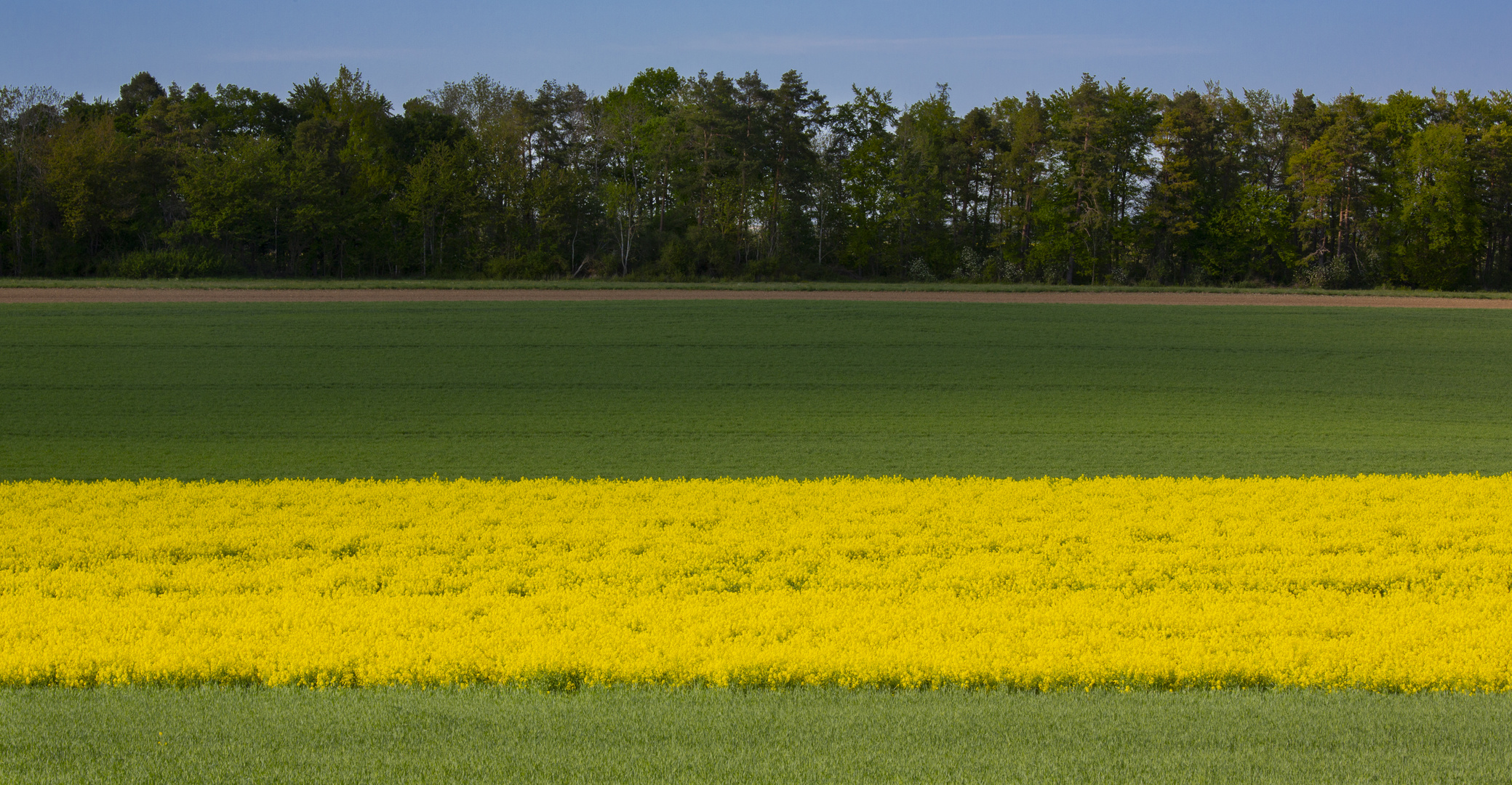 Maschinengerechte Linien