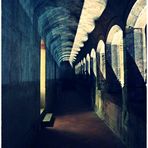 MASCHIO NOTTURNO