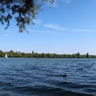 Maschsee