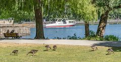 Maschsee Hannover IV