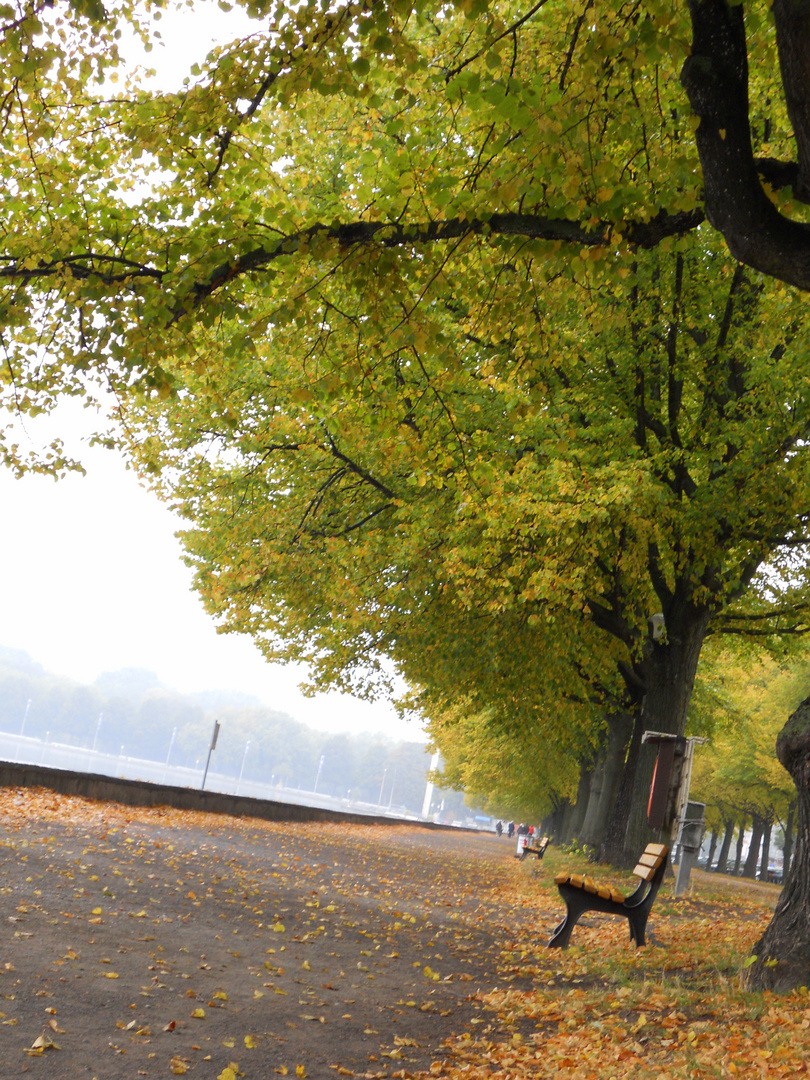 Maschsee im Herbst