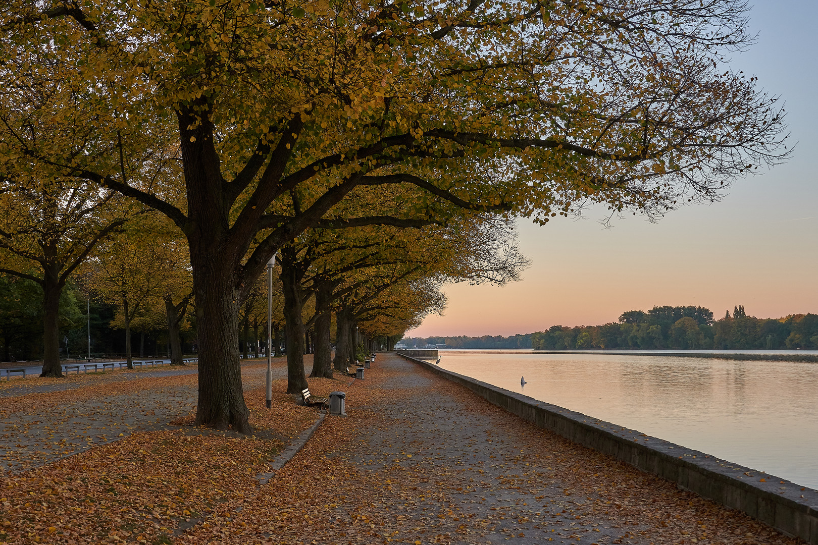 Maschsee im Herbst