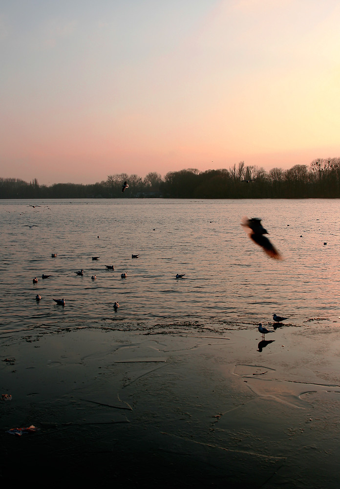 Maschsee im Winter