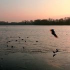 Maschsee im Winter