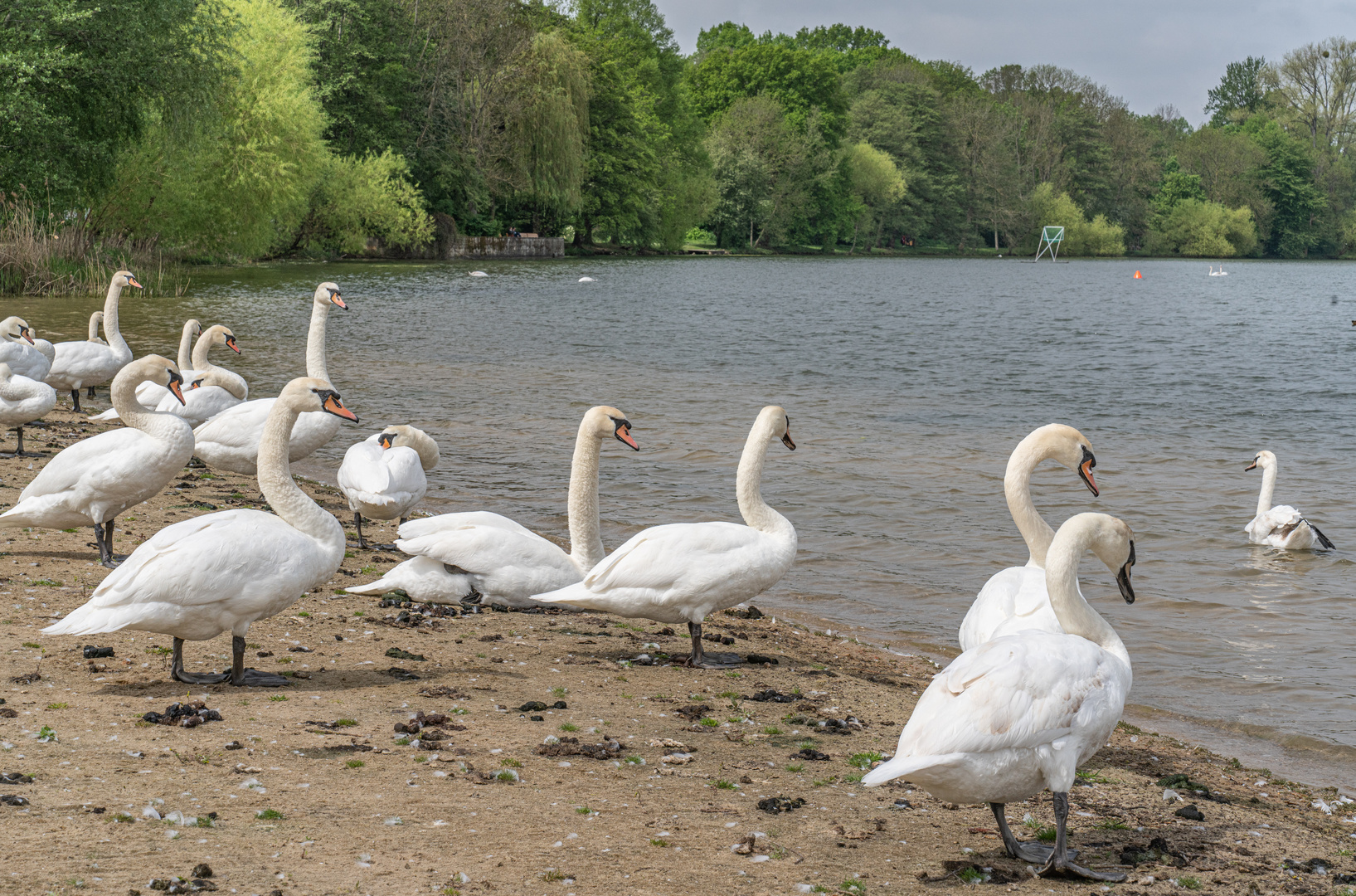 Maschseestrandbad III - Hannover