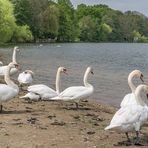 Maschseestrandbad III - Hannover