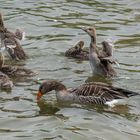 Maschseestrandbad IV - Hannover