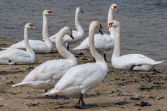 Maschseestrandbad V - Hannover