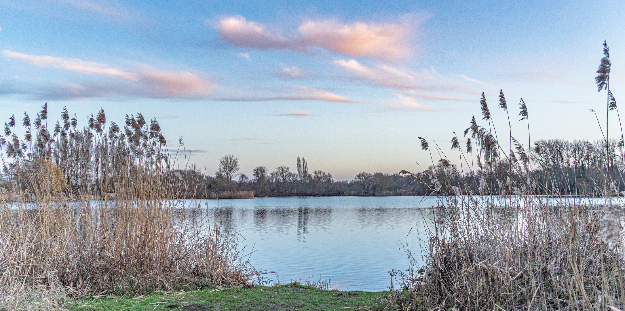 Maschteich VII HannoverWülfel Foto & Bild wasser, schilf, teich