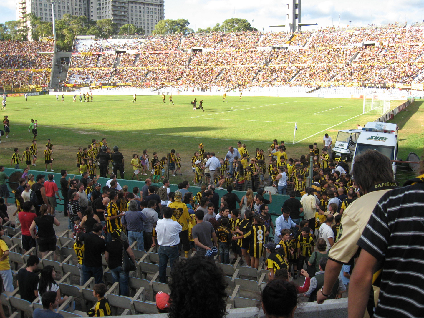 Mascotitas en la cancha.