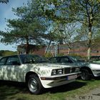 Maserati Biturbo Coupé Gemelli