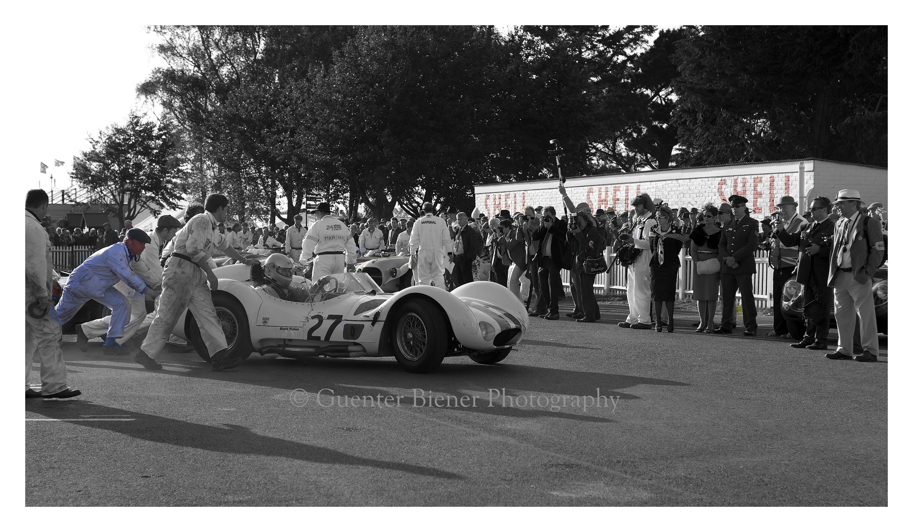 Maserati Tipo 61 Birdcage.......